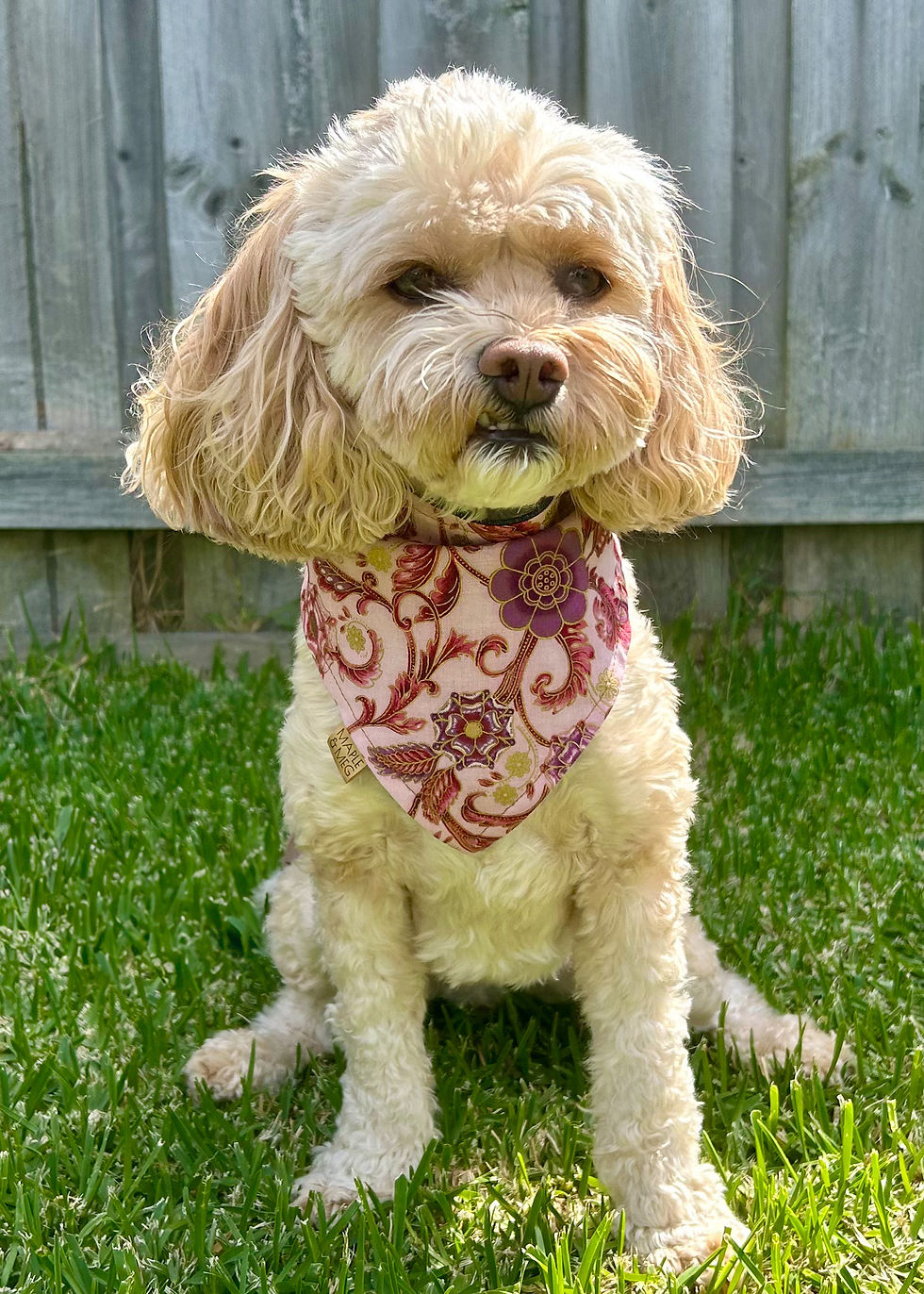 Thumbnail: Paisley Princess