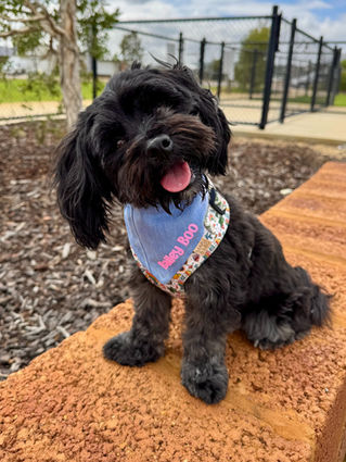 our bandanas worn by our customers