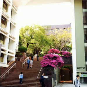 A Happy Place in HKU