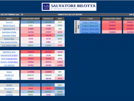 I BIG PLAYERS SCOMMETTONO SUL CROLLO DEI MERCATI