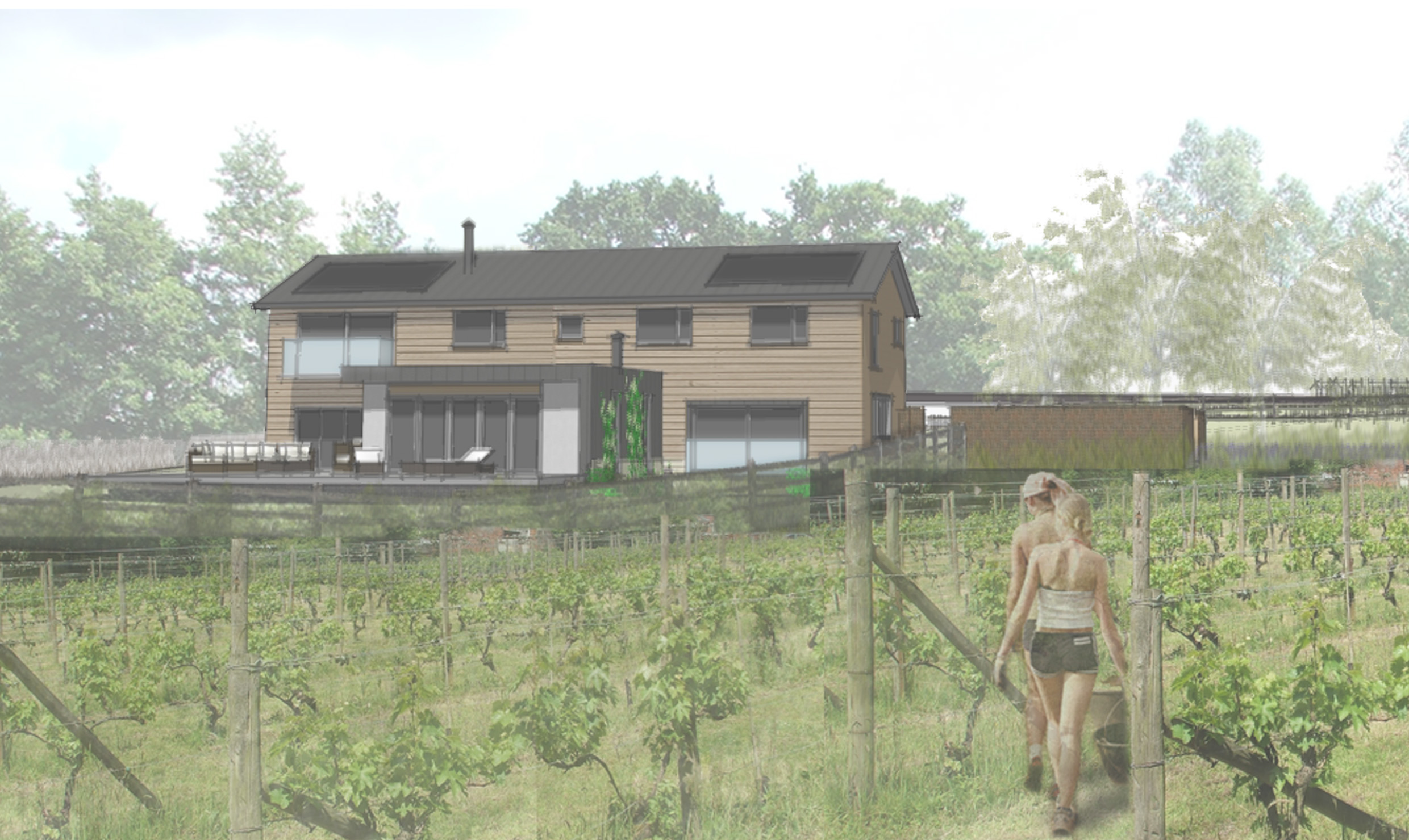 The Vineyard