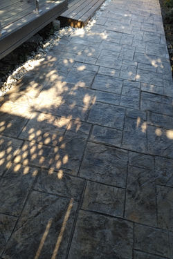 IMG_20180928_1017106