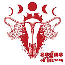 Logomarca com o desenho todo em vermelho, acima há todas as fases da lua, embaixo há o desenho do órgão sexual feminino e embaixo ao lado direito, está escrito Segue o Fluxo