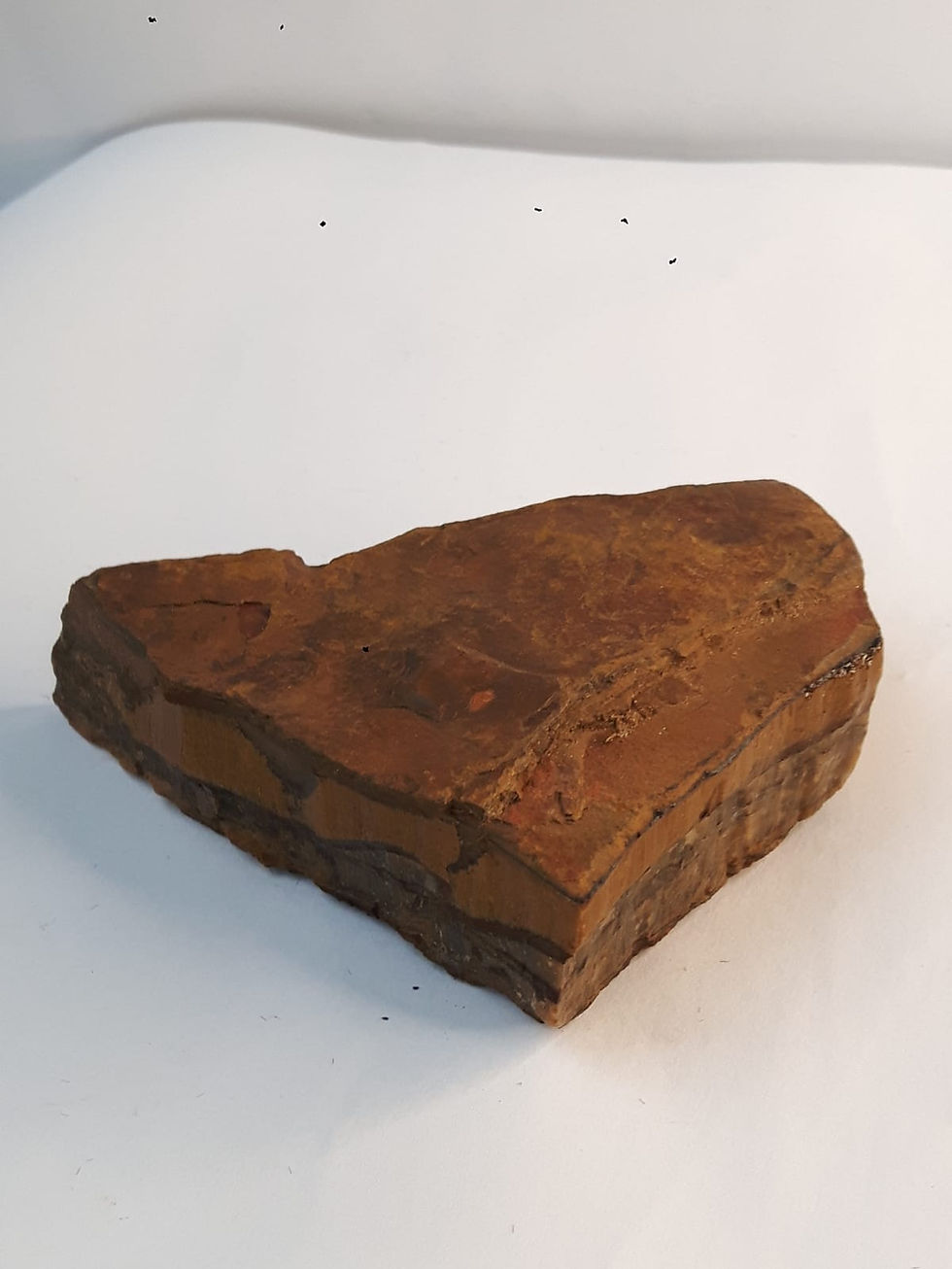 Miniature : ŒIL de TIGRE