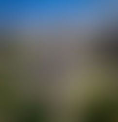 Kansas State Capitol