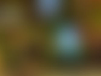 INAUGURAÇÃO DA FACHADA DE 2022 DO CLUBE PARA SÓCIOS ANNABEL’S FOR THE AMAZON EM LONDRES