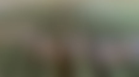 COM ALTA DURABILIDADE E RESISTÊNCIA, VERGALHÕES DE FIBRA DE VIDRO PROMOVEM TECNOLOGIA NA ÁREA