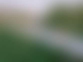 PONTE DE VIDRO EXTENSA QUER ENTRAR NO GUINNESS