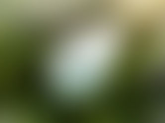 CONSTRUÇÃO CIVIL: O AVANÇO DA DESCARBONIZAÇÃO PARA UM FUTURO MAIS SUSTENTÁVEL