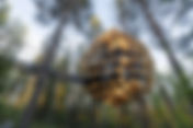 QUARTO DE VIDRO E BIOSFERA NO TREEHOTEL