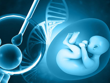 TÜP BEBEK (IVF) TEDAVİSİNDE BESLENME: TRANSFER ÖNCESİ VE SONRASI BESLENME