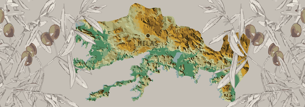 milas haritası.png