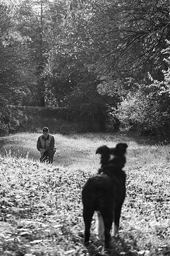 Dogs Best Friend 2021