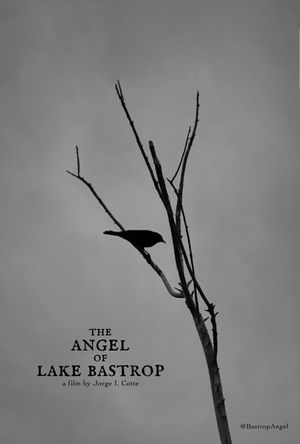 The Angel of Lake Bastrop