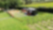 Big hut close up looking at- nice shot.jpg