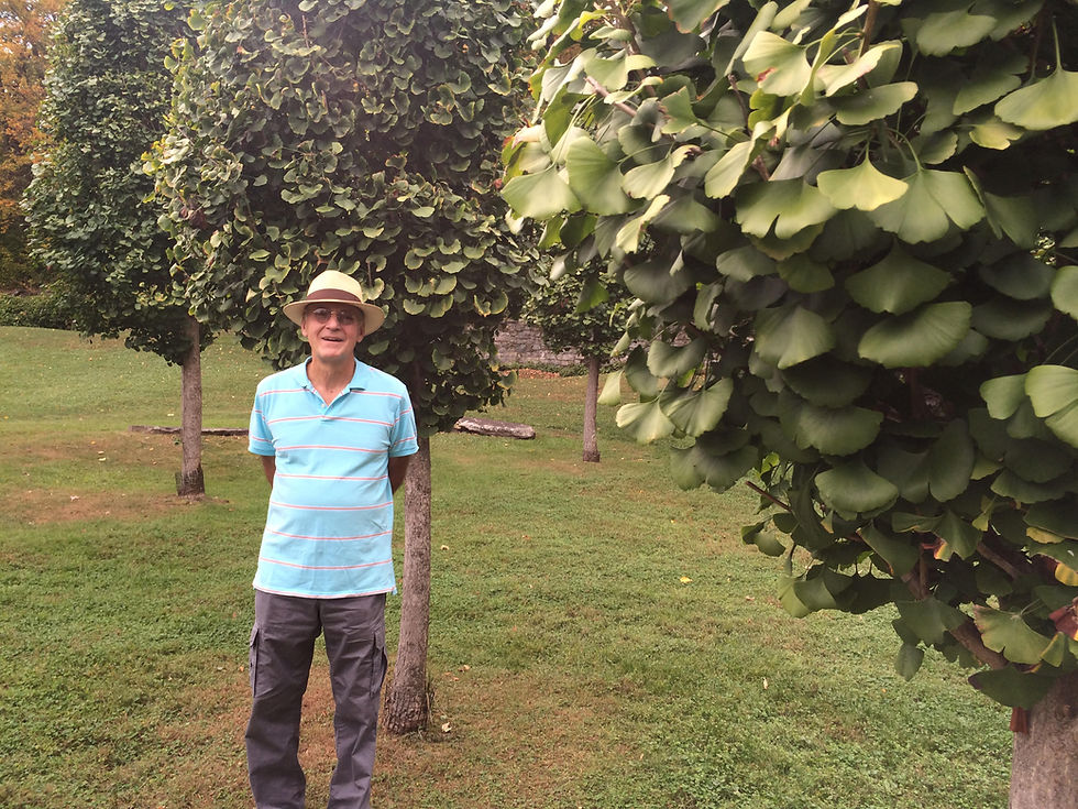 Man for walk in a garden after recovering from knee pain with acupuncture treatments