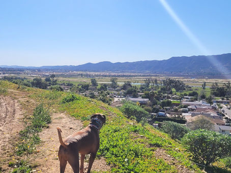 Teaching the "Go" Command