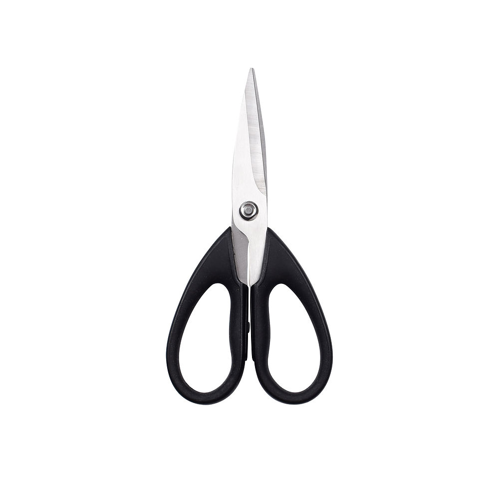 Thumbnail: Classic Multi-Purpose Kitchen Scissor 