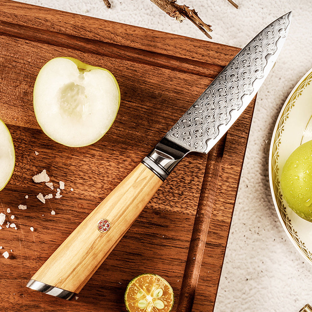 Damascus Paring Knife with Olive Wood Handle