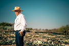 danos-tequila-production-58.jpg