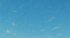bg1.png