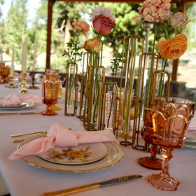Wolf Den Micro Wedding - Twin Lakes Colorado