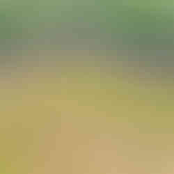 planos de caballerizas