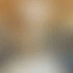 pesebreras de caballos