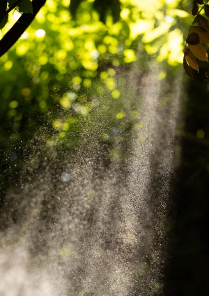zonnestralen net als losse ademstromen in rechter en linker neusgat