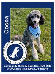 CTDS Therapy Dog