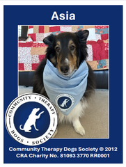 CTDS Therapy Dog