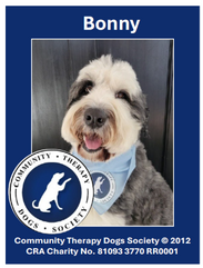 CTDS Therapy Dog