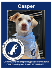 CTDS therapy Dog