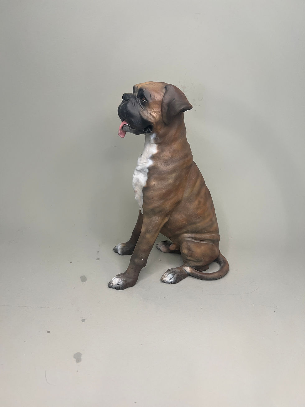 Thumbnail: Boxer Dog 'Good Boy'