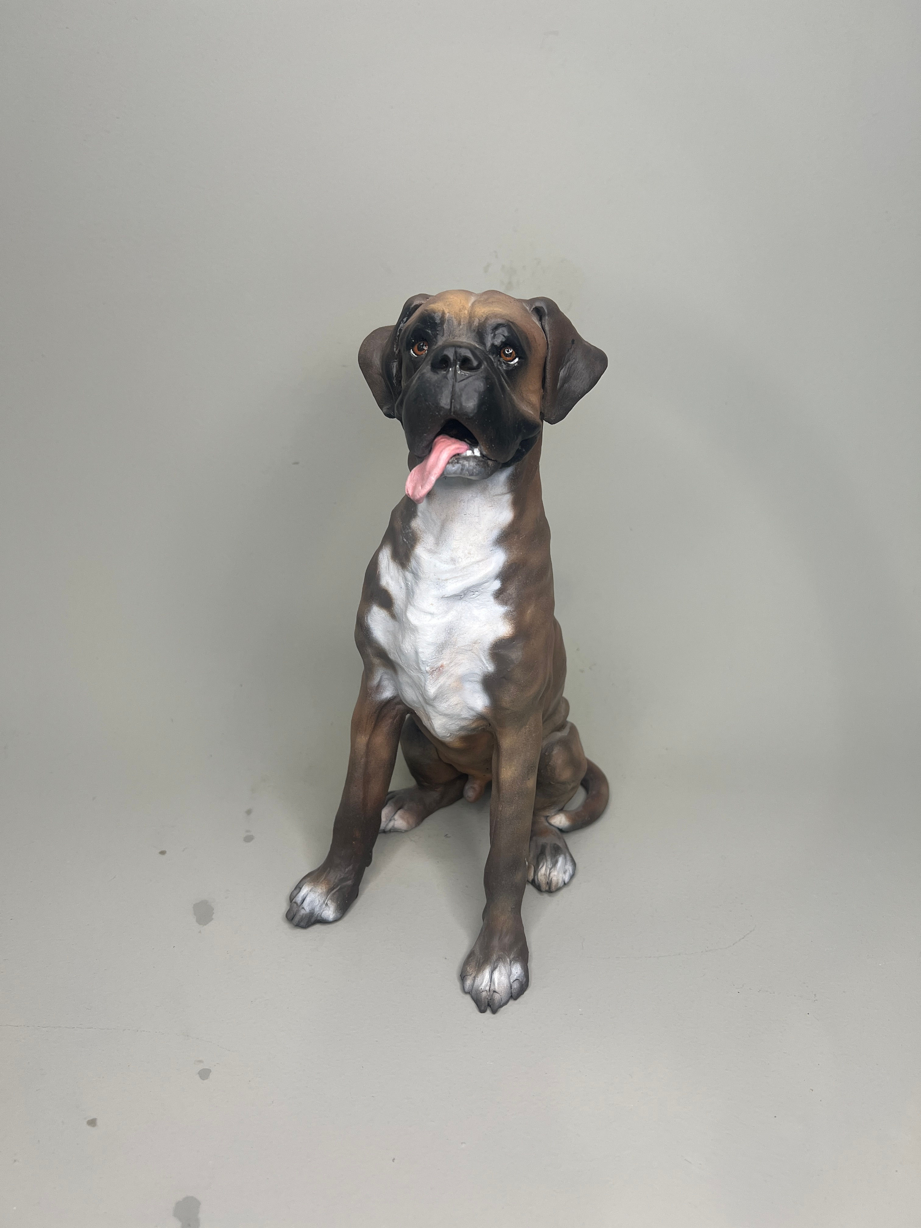 Boxer Dog 'Good Boy'