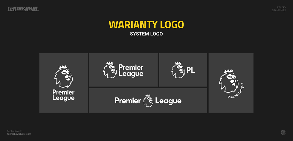 System logo. Warianty logo. Przykład logo Premier League