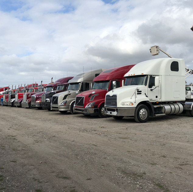 ROYAL AUCTION GROUP FORT MYERS, FLORIDA