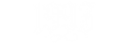 logo 1993 k.PNG