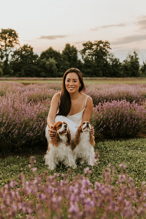 Herky_the_cavalier_Mai_Tran_lavender.JPG