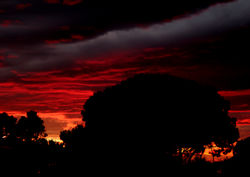 Ippodromo delle Capannelle, Roma
