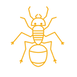 Ant_edited.png
