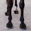 Thumbnail: Equine Therapy Systems Infrared Hoof Wraps