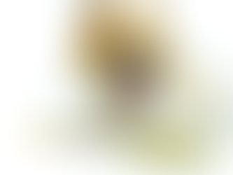 VERMÍFUGO: QUAIS, QUANDO E COMO ADMINISTRAR PARA PROTEGER TEU AMIGUINHO DE ESTIMAÇÃO.