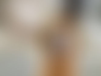 A primavera e a queda de pelos: entenda porque os animais perdem mais pelo nessa época do ano