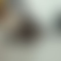 Falha no pelo e lesões na pele: O que está acontecendo com o meu cãozinho?