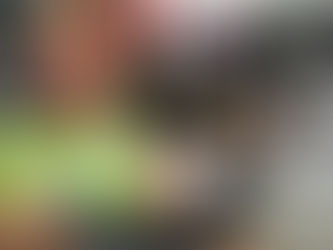 A Met 15 langs de "Rode Geulroute"