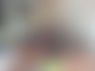 De C's ontdekken het LINDENHOF langs Velle / Temse.