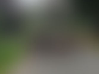 Met Stijn & Co langs Munte