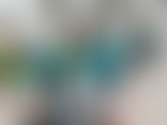 B2 naar Zelzate Overslag