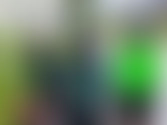 B2 langs Stekene Sinaai